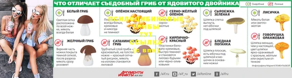 PSILOCYBIN Лиски