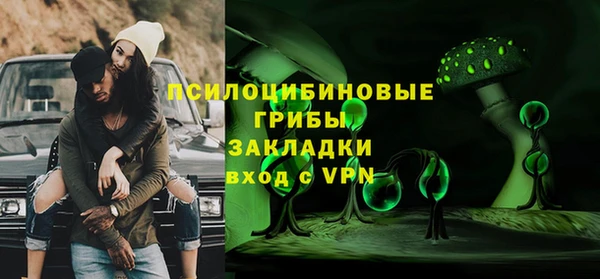 PSILOCYBIN Лиски