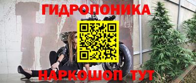 дживик Гусь-Хрустальный