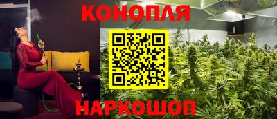 PSILOCYBIN Гусев