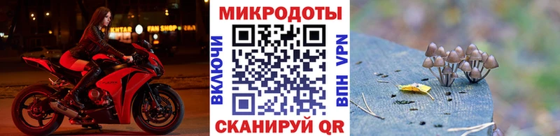 купить наркоту  Миллерово  Псилоцибиновые грибы MAGIC MUSHROOMS 