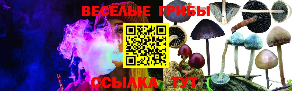 Галлюциногенные грибы прущие грибы  Вход с VPN  Миллерово 