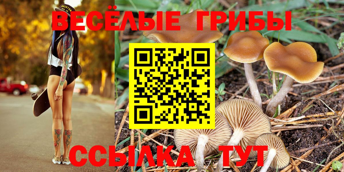 Галлюциногенные грибы GOLDEN TEACHER Миллерово